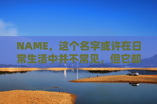 NAME，这个名字或许在日常生活中并不常见，但它却在某些领域里扮演着重要的角色。今天，让我们一起来探索这个名字背后的故事和意义